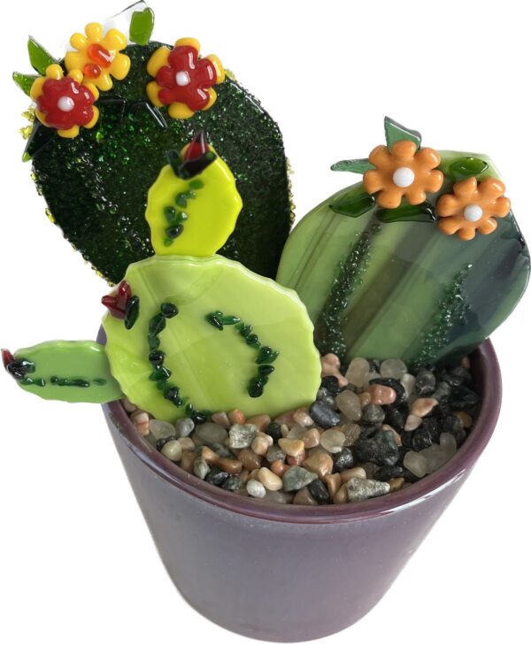 Fused Potted Cactus - Image 2