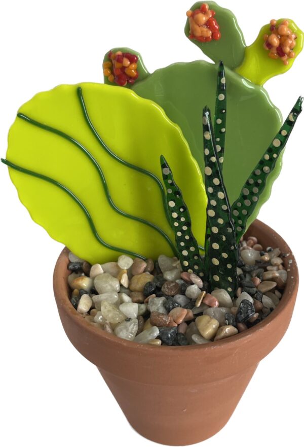 Fused Potted Cactus - Image 3