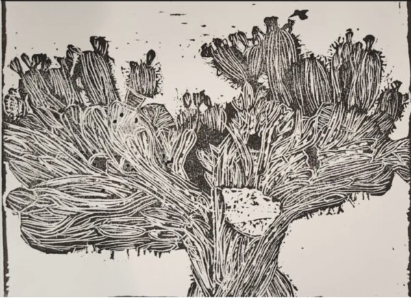 By Caroline Wang, 13